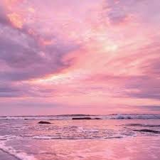 محمد طاہر avatar