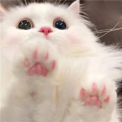 علی رضا avatar