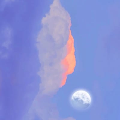 Inzamam-ul-Haq avatar