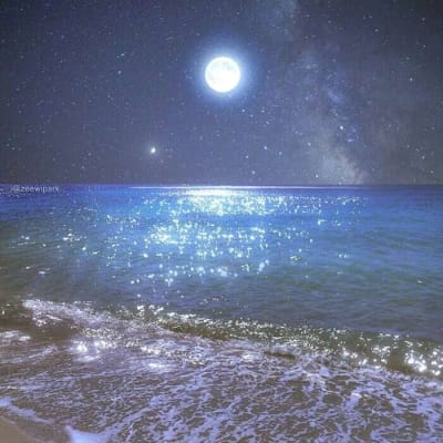 عمران خان avatar